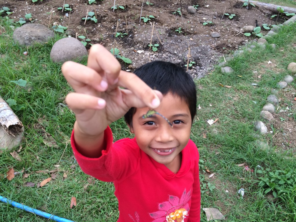 My Philippines in a&nbsp;Pili-Nutshell